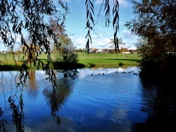 Photo paysage et monuments, Sainte-Marie-la-Blanche - Sainte Marie la blanche:la dance des canards.