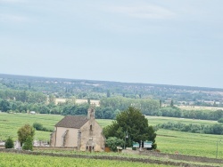 Photo paysage et monuments, Volnay - le village
