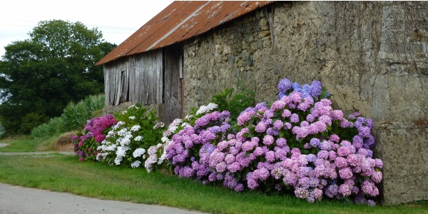 Photo Bourbriac - Toutes les couleurs  de Bretagne