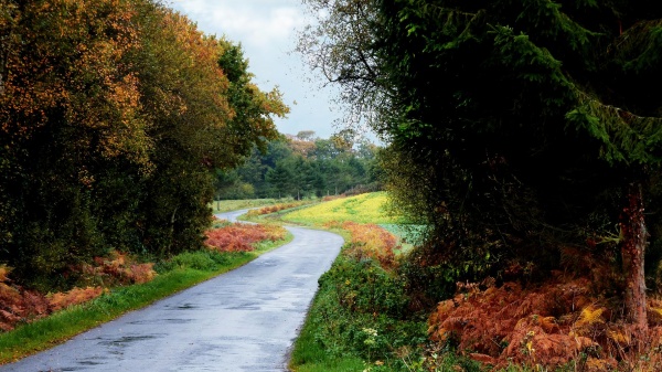 Photo Bourbriac - En campagne