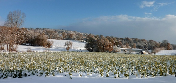 Photo Bourbriac - A l'heure ou blanchie la campagne