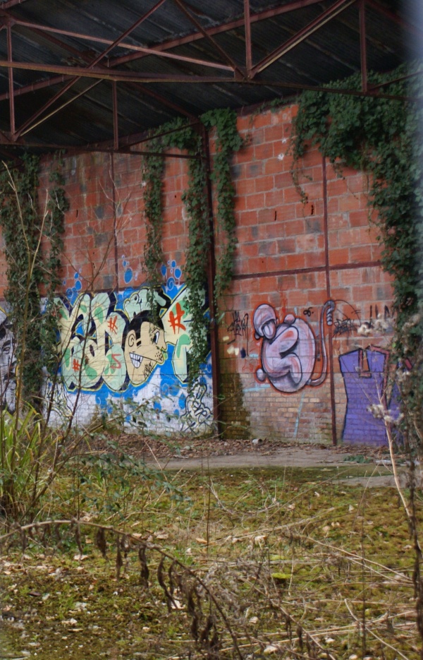 Photo Guingamp - Jungle urbaine ...  :-)