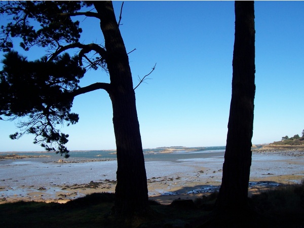 Photo Lanmodez - Lanmodez - vue de l'ile à bois