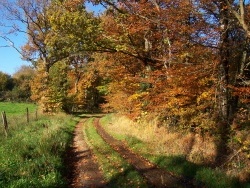 Photo paysage et monuments, Moustéru - Moustéru - Couleurs d'automne