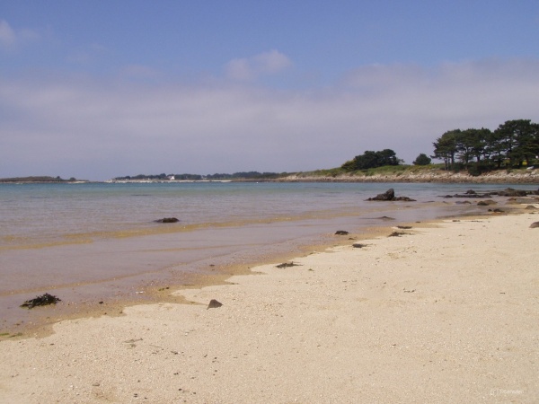 Photo Pleumeur-Bodou - Plage de Pleumeur-Bodou, sur la Côte de Granit Rose