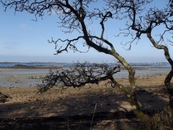 Photo paysage et monuments, Ploubazlanec - Ploubazlanec - La mer se repose