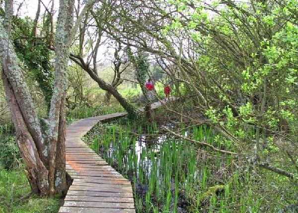 Trébeurden : espace protégé des Marais de Quellen