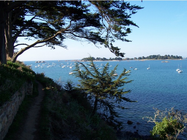 Photo Trévou-Tréguignec - Port-blanc - En flanânt sur le sentier côtier