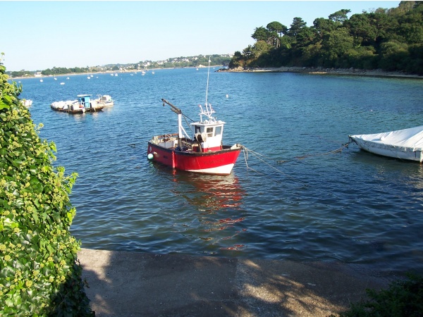 Photo Trévou-Tréguignec - Port-blanc - Petit bateau qui va sur l'eau....!