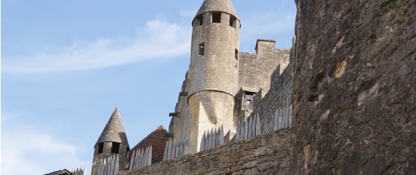 Photo Beynac-et-Cazenac - le château