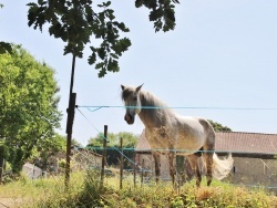 Photo paysage et monuments, Bourg-des-Maisons - le village