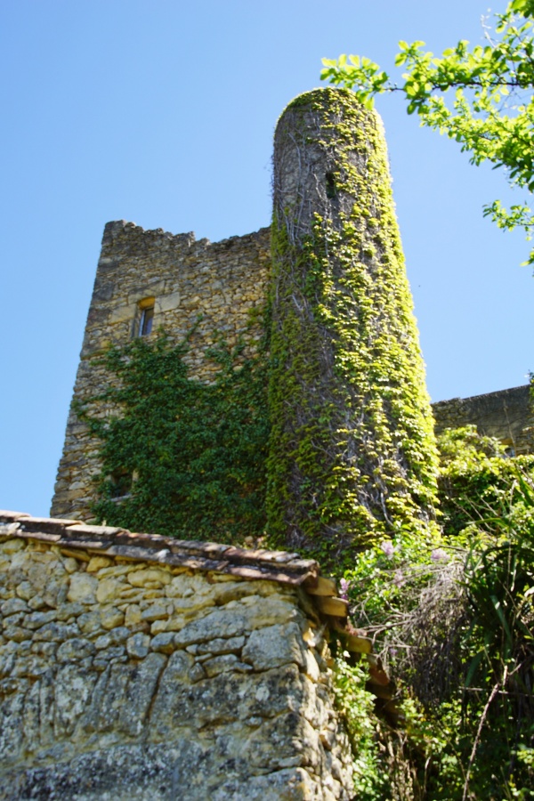 Photo Les Eyzies-de-Tayac-Sireuil - le village