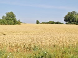 Photo paysage et monuments, La Gonterie-Boulouneix - le village