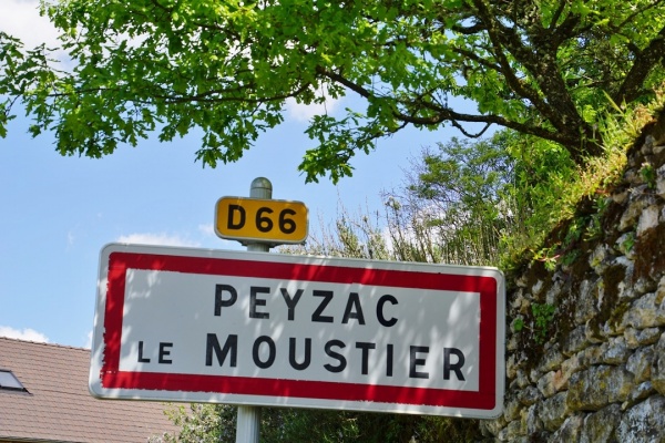 Photo Peyzac-le-Moustier - peyzac le moustier (24620)