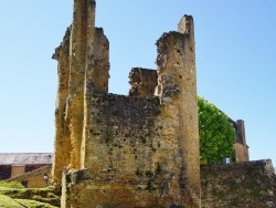 Photo paysage et monuments, Sainte-Alvère - la tour