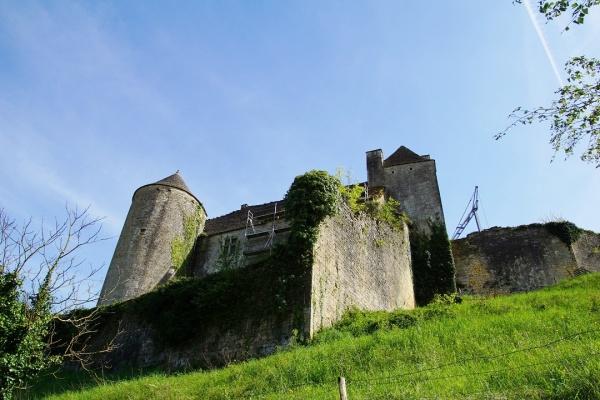 Photo Salignac-Eyvigues - le château