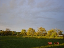 Photo paysage et monuments, Étrappe - Etrappe