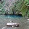 la source bleue