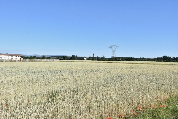 Photo Beaumont-lès-Valence - la nature