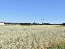 Photo paysage et monuments, Beaumont-lès-Valence - la nature