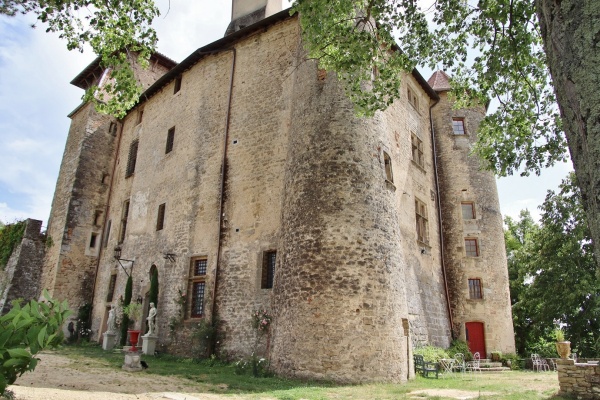 Photo Charmes-sur-l'Herbasse - le Château