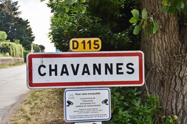 Photo Chavannes - chavanne (26260)