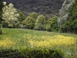 Photo paysage et monuments, Establet - nature