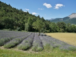 Photo paysage et monuments, Laval-d'Aix - la Campagne