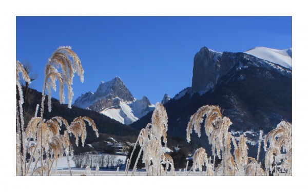 Photo Lus-la-Croix-Haute - Du roseau au rocher il n'y a qu'un pas