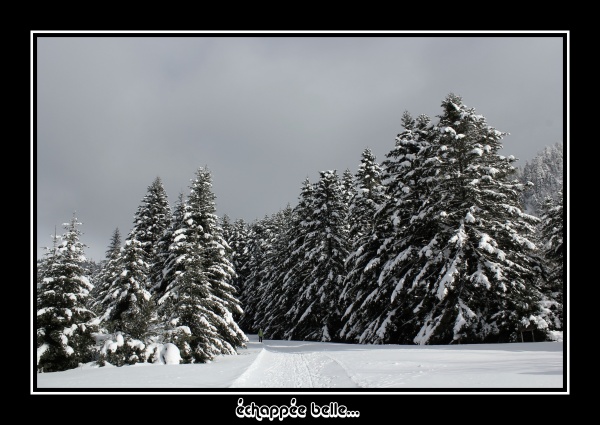 Photo Lus-la-Croix-Haute - Echappée belle...