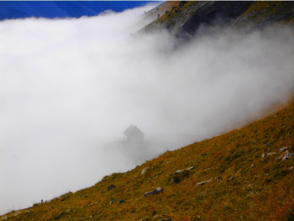 Photo Lus-la-Croix-Haute - Dévoluy ... des moutons, des pierres, et ...