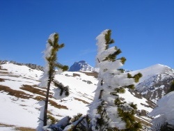 Photo paysage et monuments, Lus-la-Croix-Haute - Au Col de TOURNEROND le 28 février 2012