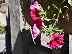 Photo paysage et monuments, Rochefort-Samson - les fleurs