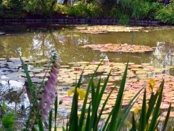 Photo paysage et monuments, Giverny - Giverny.27-Fondation Claude Monet.Le bassin aux nymphéas.2.