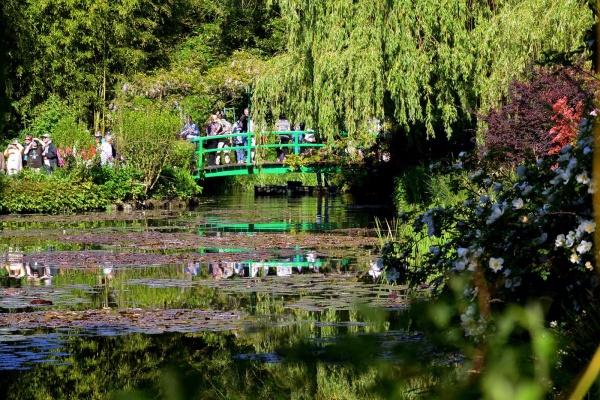 Photo Giverny - Giverny.27-Fondation Claude Monet.Le bassin aux nymphéas.