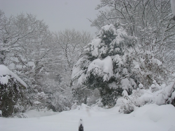 Photo La Feuillée - neige à trédudon la feuillée