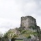 Photo La Roche-Maurice - le château
