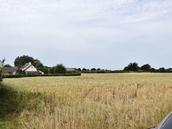 Photo paysage et monuments, Tréguennec - le champs
