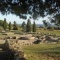 Certaines images du site archéologique (1)