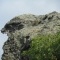 Photo Bastia - Pierres aux formes étranges dans la chaîne de montagnes Serra di Pigno(2)