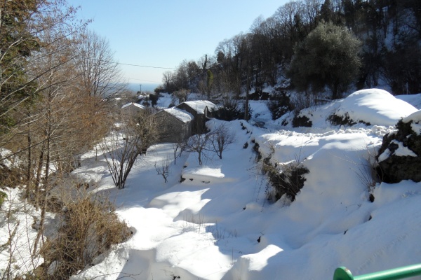 Photo Cervione - Cervione - le 14 fevrier 2012. Enfin! Pas plus de neige!