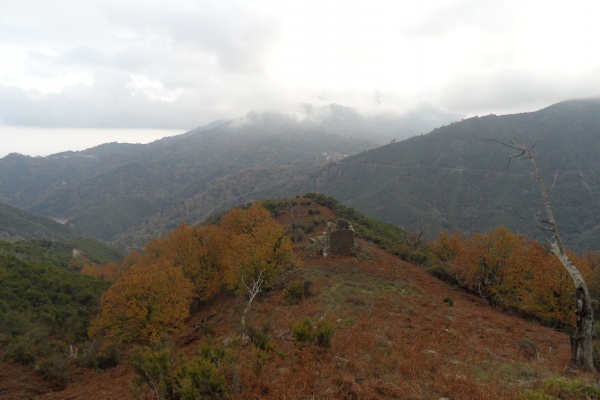 Photo Cervione - Le hameau abandonné Prunello (ou Prunellu) - vu du D71