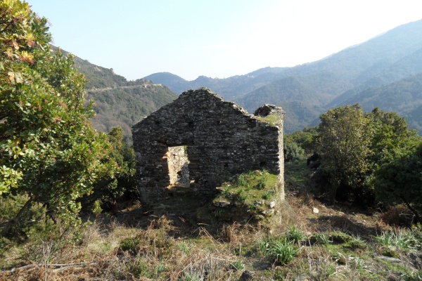 Photo Cervione - Les vestiges d'une ancienne maison - vu sur D71