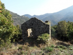 Photo paysage et monuments, Cervione - Les vestiges d'une ancienne maison - vu sur D71
