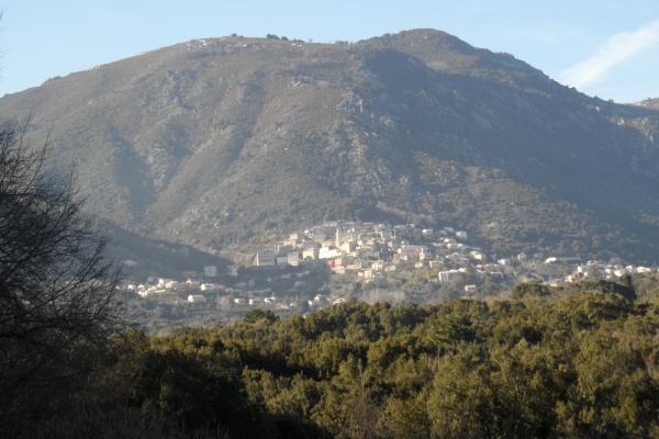 Photo Cervione - Cervione -  vue de la D152