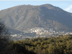 Photo paysage et monuments, Cervione - Cervione -  vue de la D152