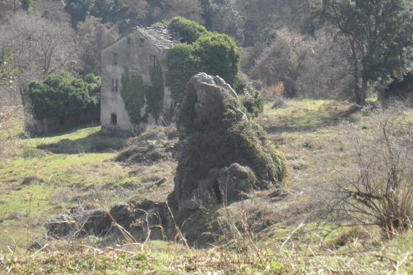 Photo Cervione - La grande maison (1)