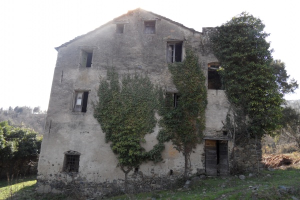 Photo Cervione - La grande maison (2)