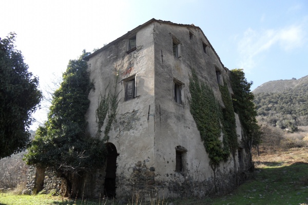 Photo Cervione - La grande maison (3)