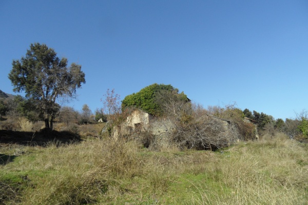 Photo Cervione - La maisonette de côté de rivière(2)